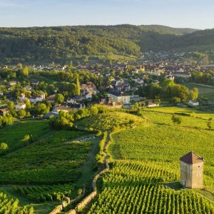 Arbois, cœur de vignes