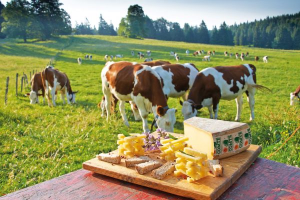 Comté