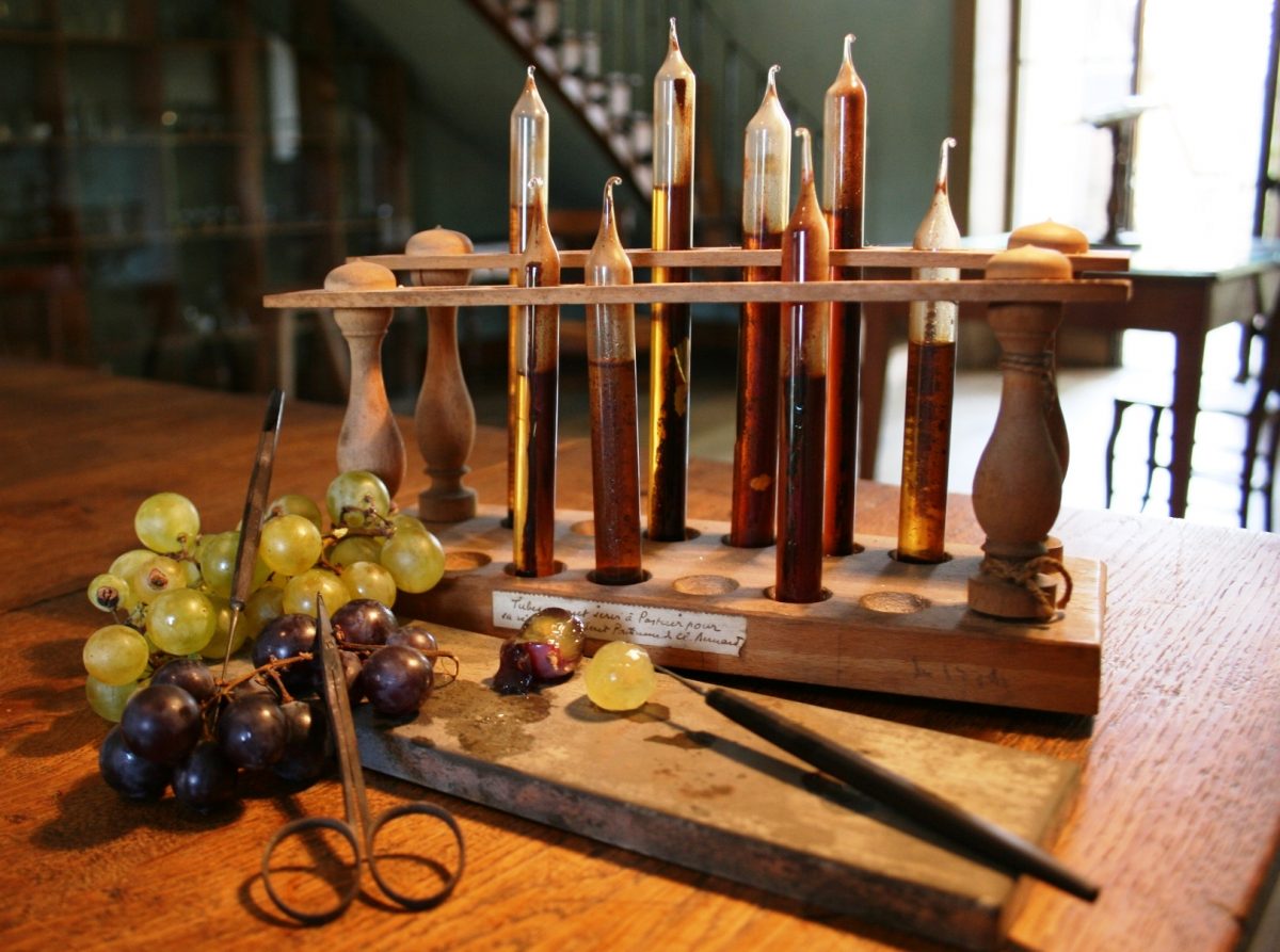 Laboratoire Louis Pasteur