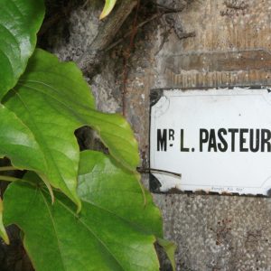 La Maison de Louis Pasteur