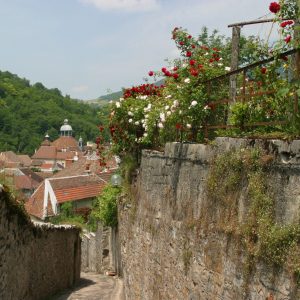 7 raisons de venir au printemps