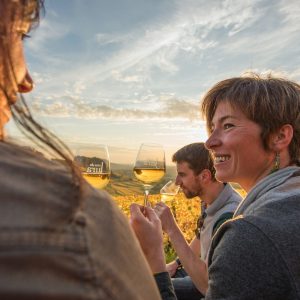 Nos vignerons