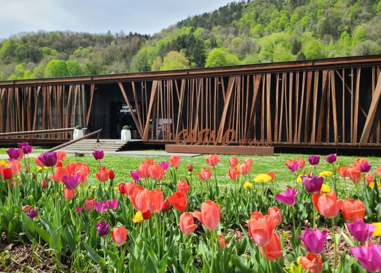 Magic voices : star 80