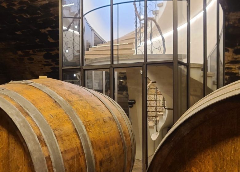 Du laboratoire au vignoble : sur les traces de Pasteur en Arbois