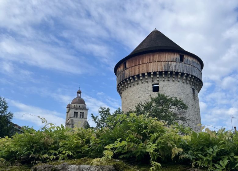 LE COEUR DU JURA EN TROIS SAVEURS : VIN, SEL ET COMTÉ
