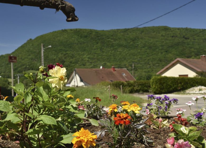 Le chalet de Saizenay