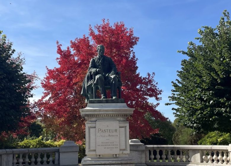 LE COEUR DU JURA EN TROIS SAVEURS : VIN, SEL ET COMTÉ