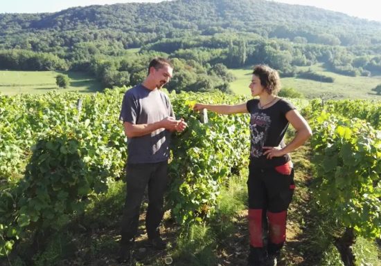 Domaine des Sarmentelles