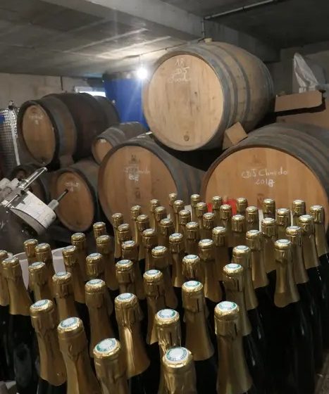 Domaine des Sarmentelles