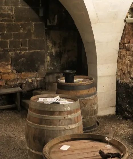 Domaine des Sarmentelles