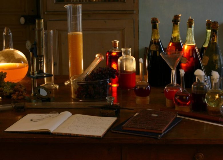 Visite libre de la Maison de L. Pasteur