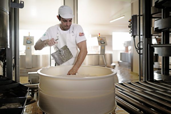 Visite de la Fruitière Les Délices du Plateau