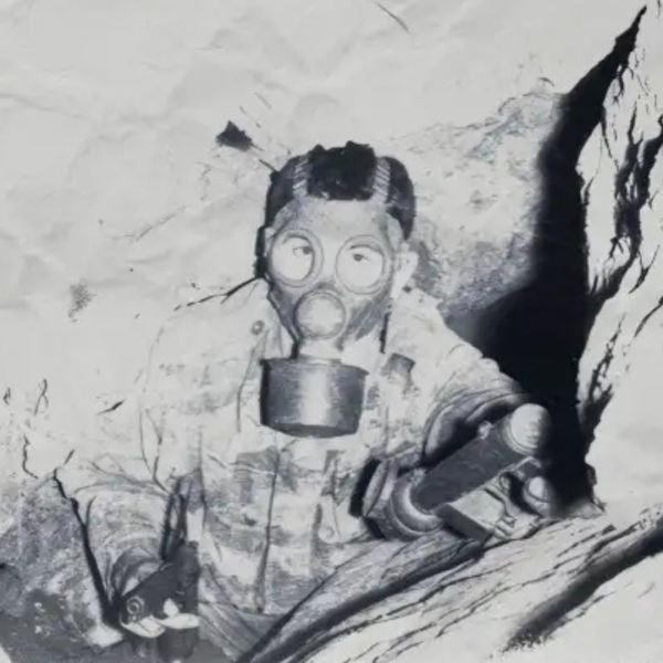 Algérie, section armes spéciales