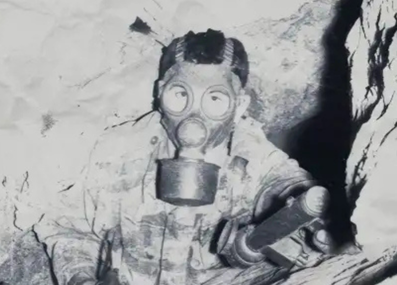 Algérie, section armes spéciales