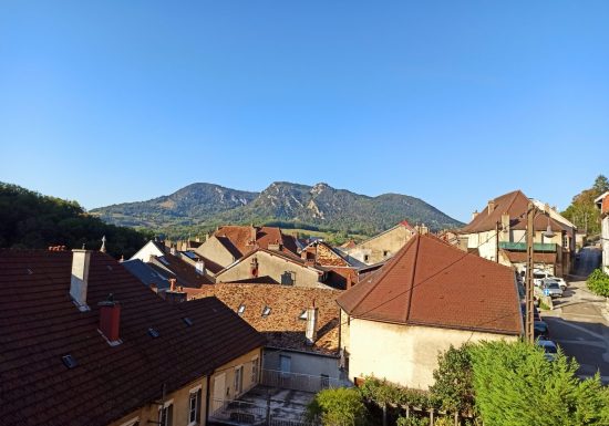 Les Martinets