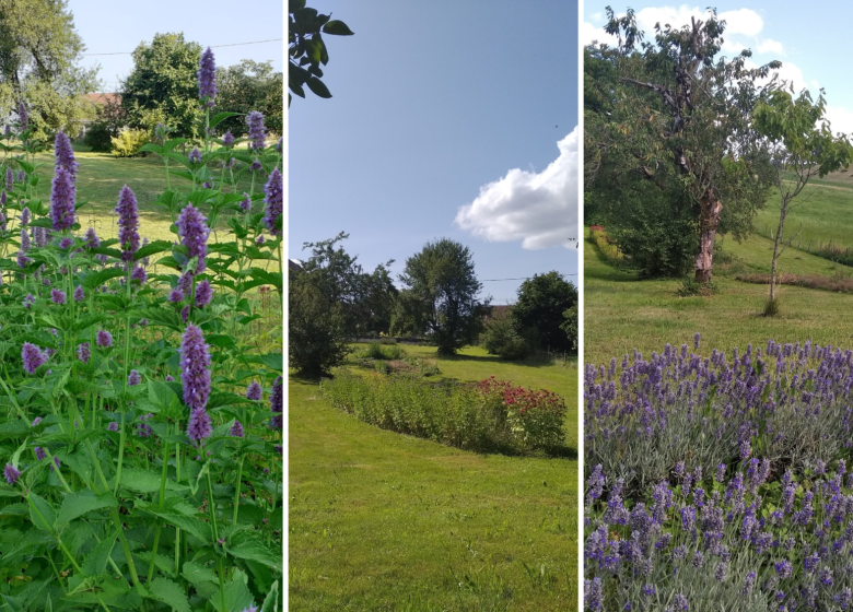 Visite gourmande aux plantes