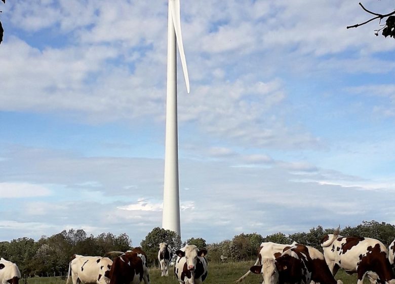 Site éolien de Chamole