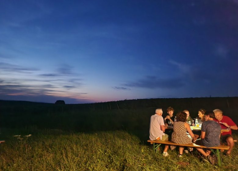 Dégustation sous les étoiles