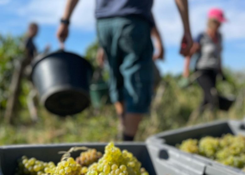 La Croisée Comtoise