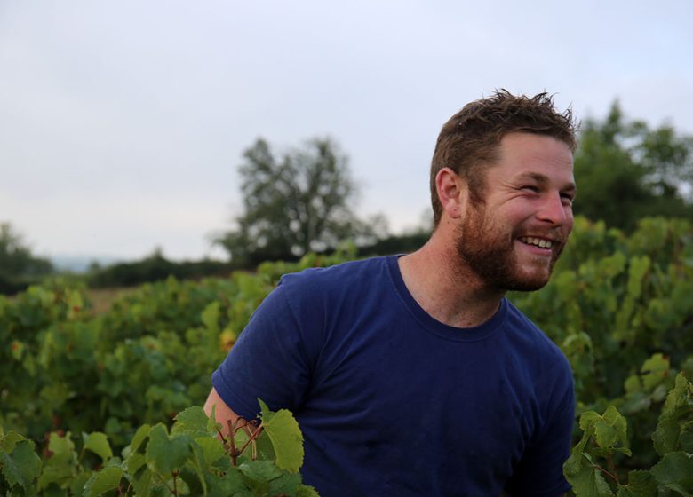 Domaine Joseph Dorbon