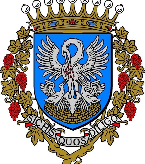 Salle des fetes  » espace louis pasteur « 