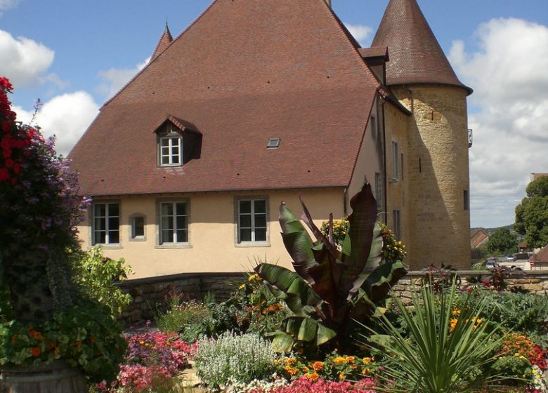 Musée de la Vigne et du Vin du Jura