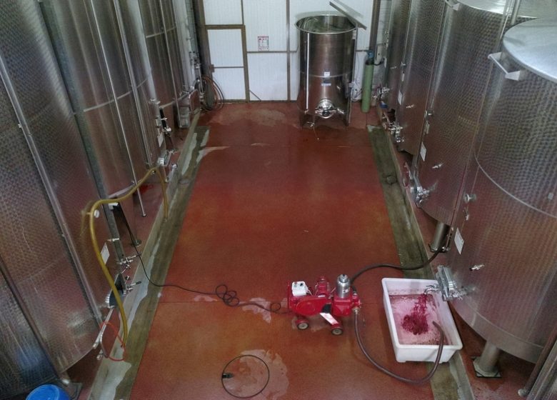 Fruitière Vinicole de Pupillin