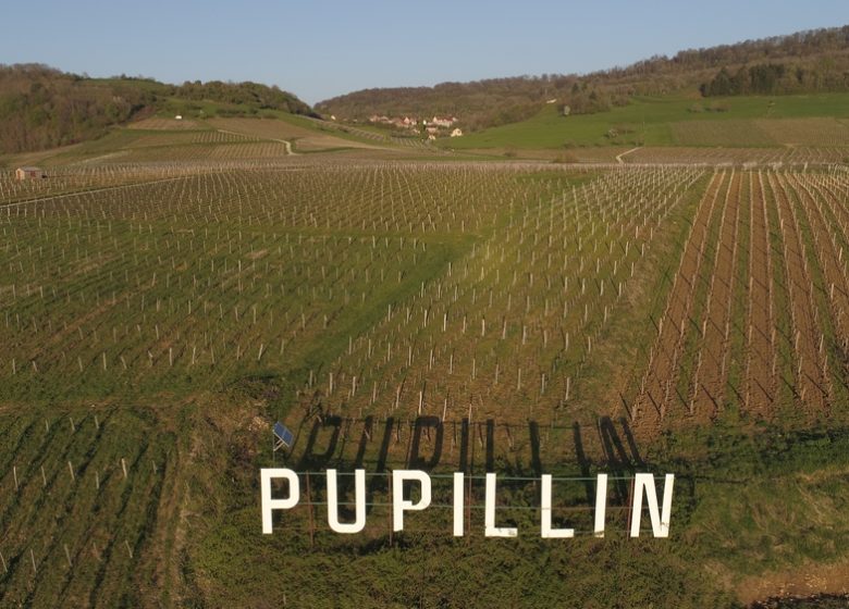 Fruitière Vinicole de Pupillin