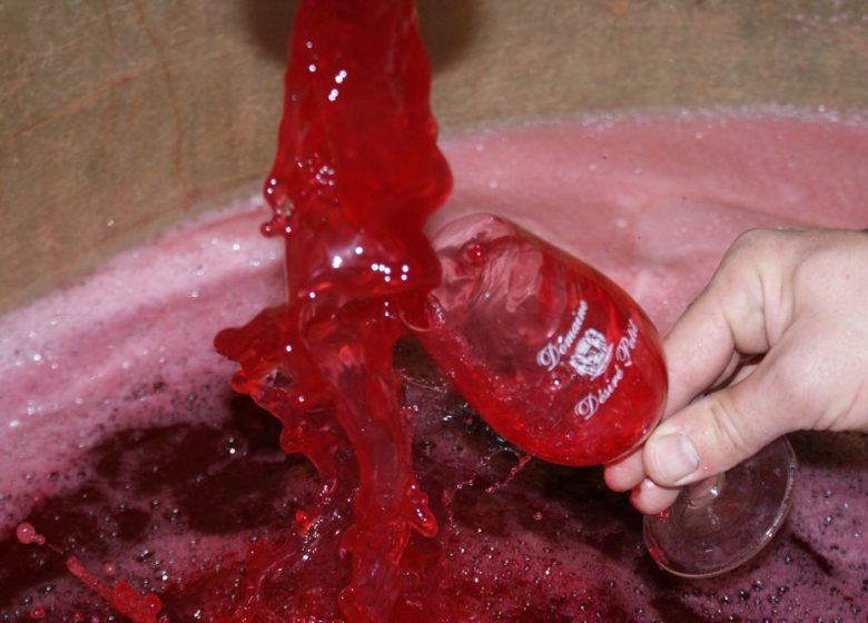 Domaine Desiré Petit