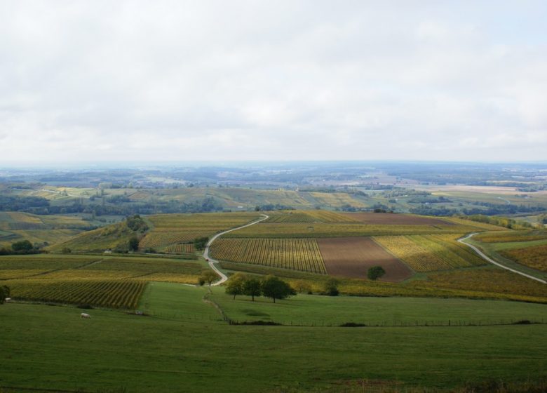 Domaine Desiré Petit