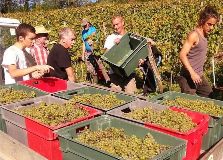 Domaine de la Tournelle