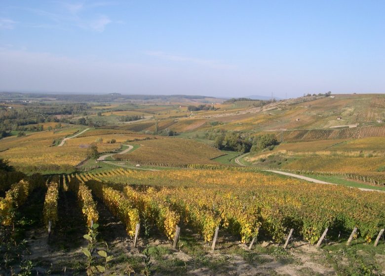 Domaine de la Renardière, Jean-Michel Petit