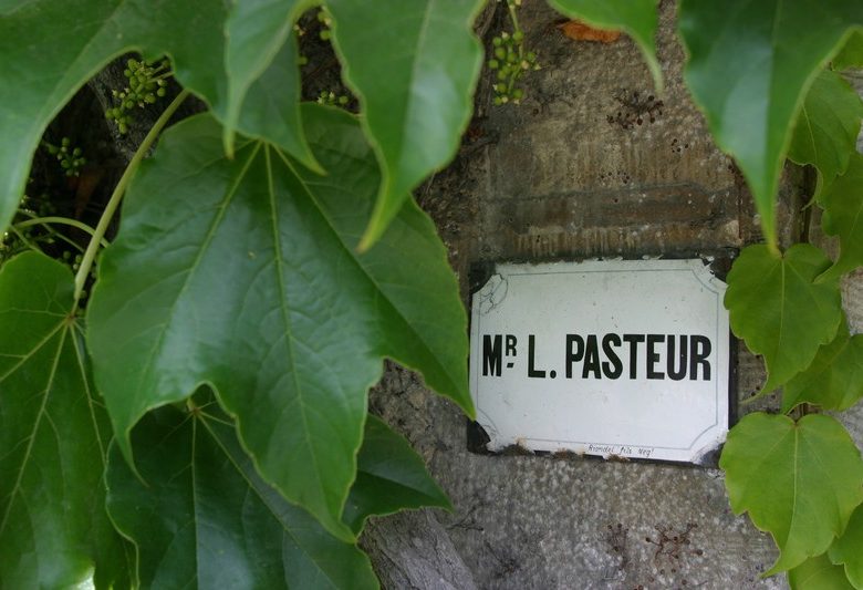Sur les traces de Louis Pasteur