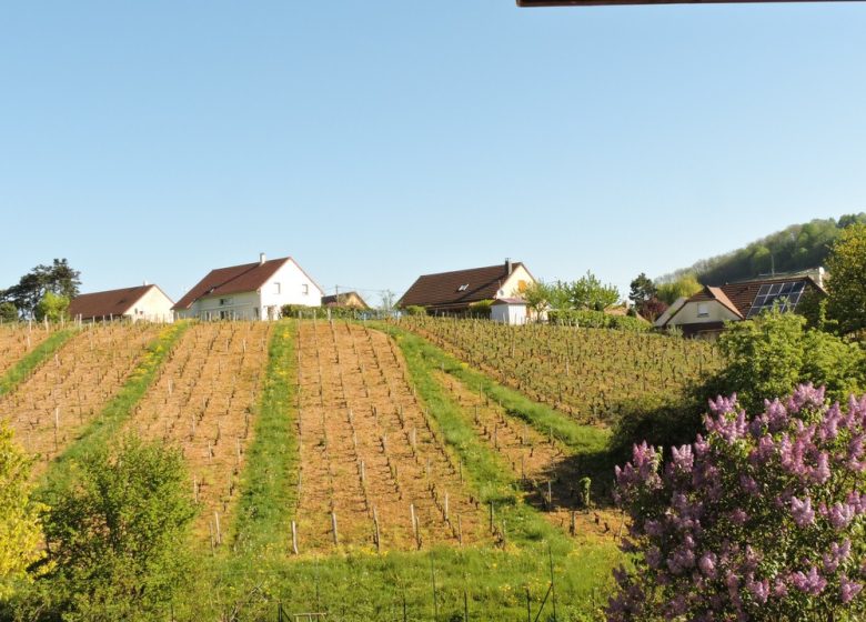 Gîte des Vignes