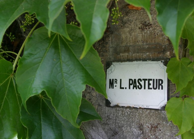 Le circuit Pasteur