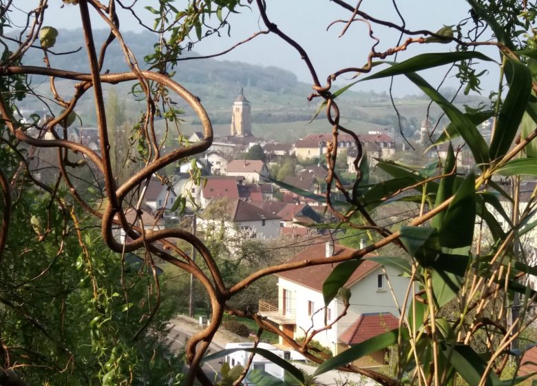 Gîtes du Belvédère