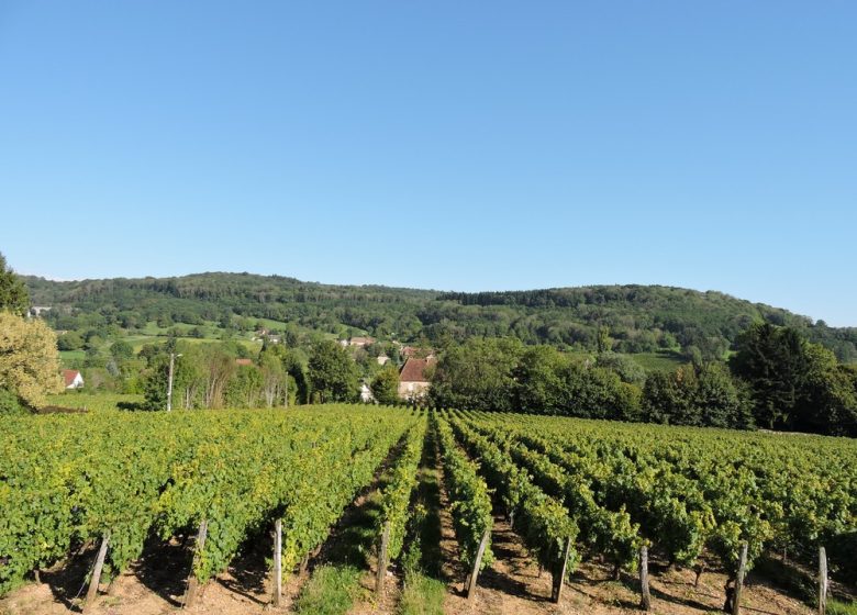 Tour du Zouave Coco