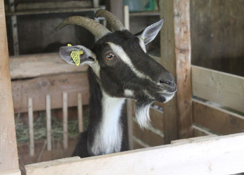 Gîte Ferme de la Tuilerie