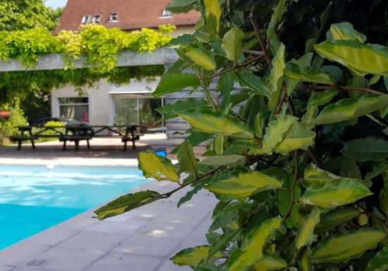 De Passage Chez Lili