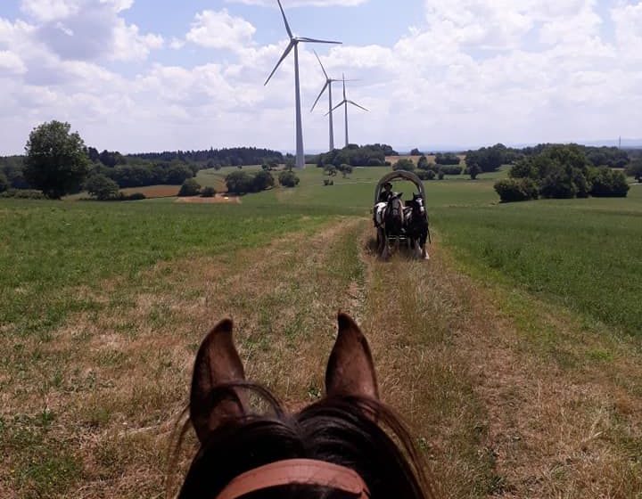 Les attelages du gaec de l&rsquo;espoir