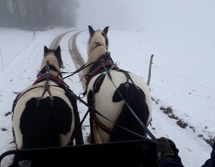 Les attelages du gaec de l&rsquo;espoir