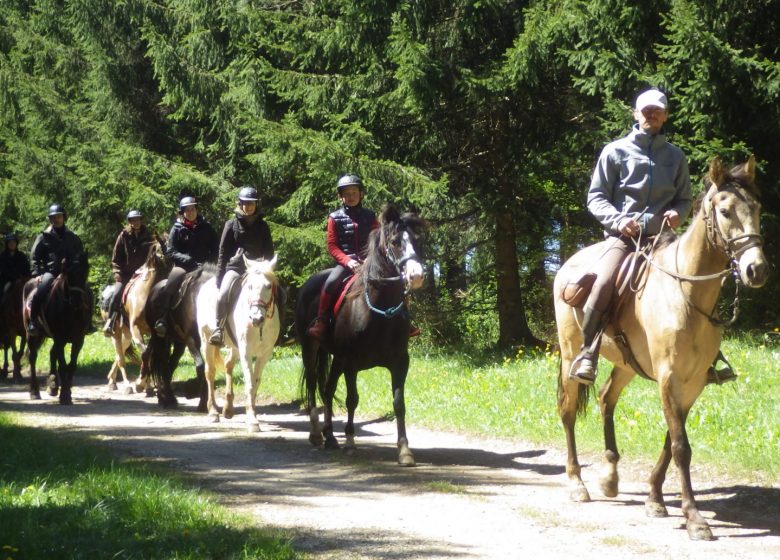 Ferme équestre élevage Juan