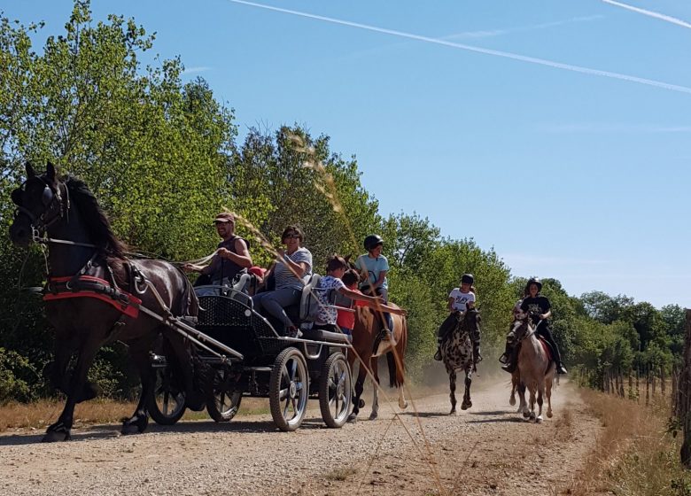 Ferme équestre élevage Juan