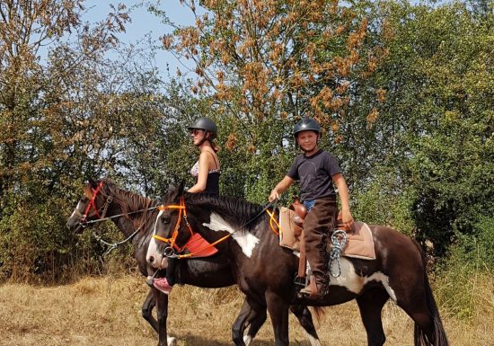 Ferme équestre élevage Juan