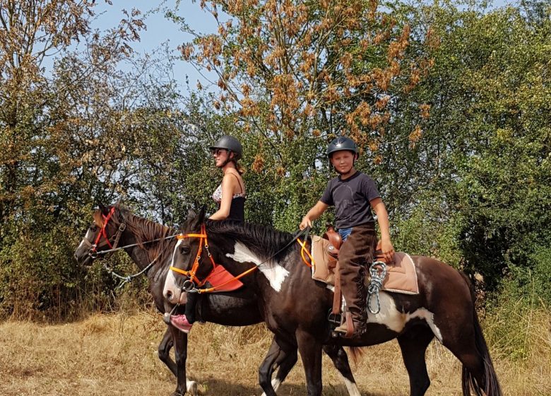 Ferme équestre élevage Juan