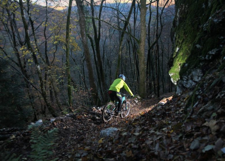 Mont Poupet Bike Park