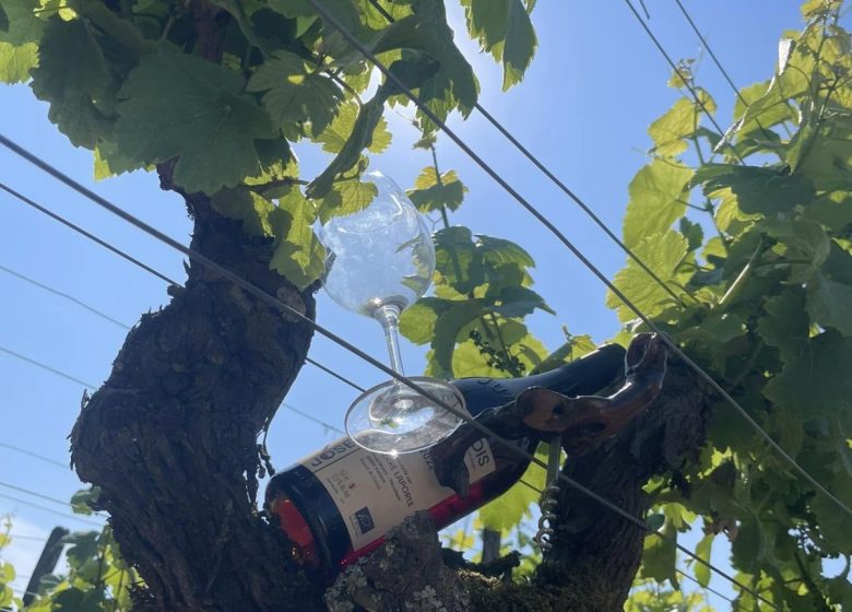 Domaine Joseph Dorbon