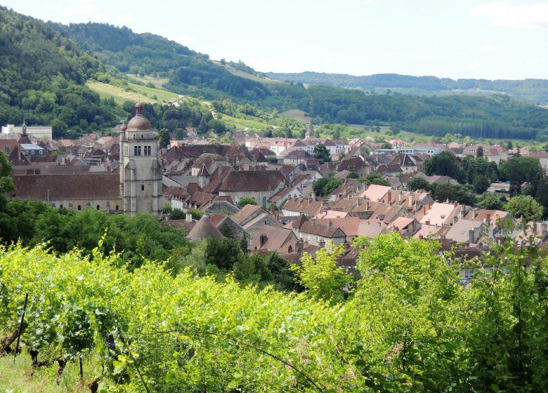 Les remparts de Poligny