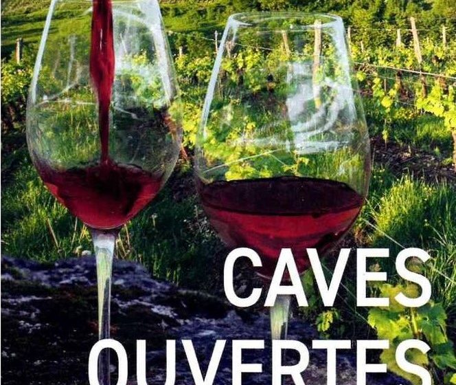 Caves ouvertes du Domaine Désiré Petit