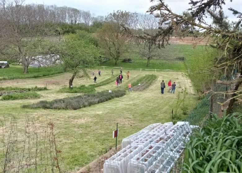 Visite gourmande aux plantes